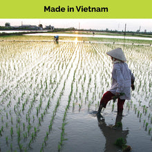 Load image into Gallery viewer, Vietnamese Brown Rice Noodles with Seaweed - Pack of 6 - 24 servings